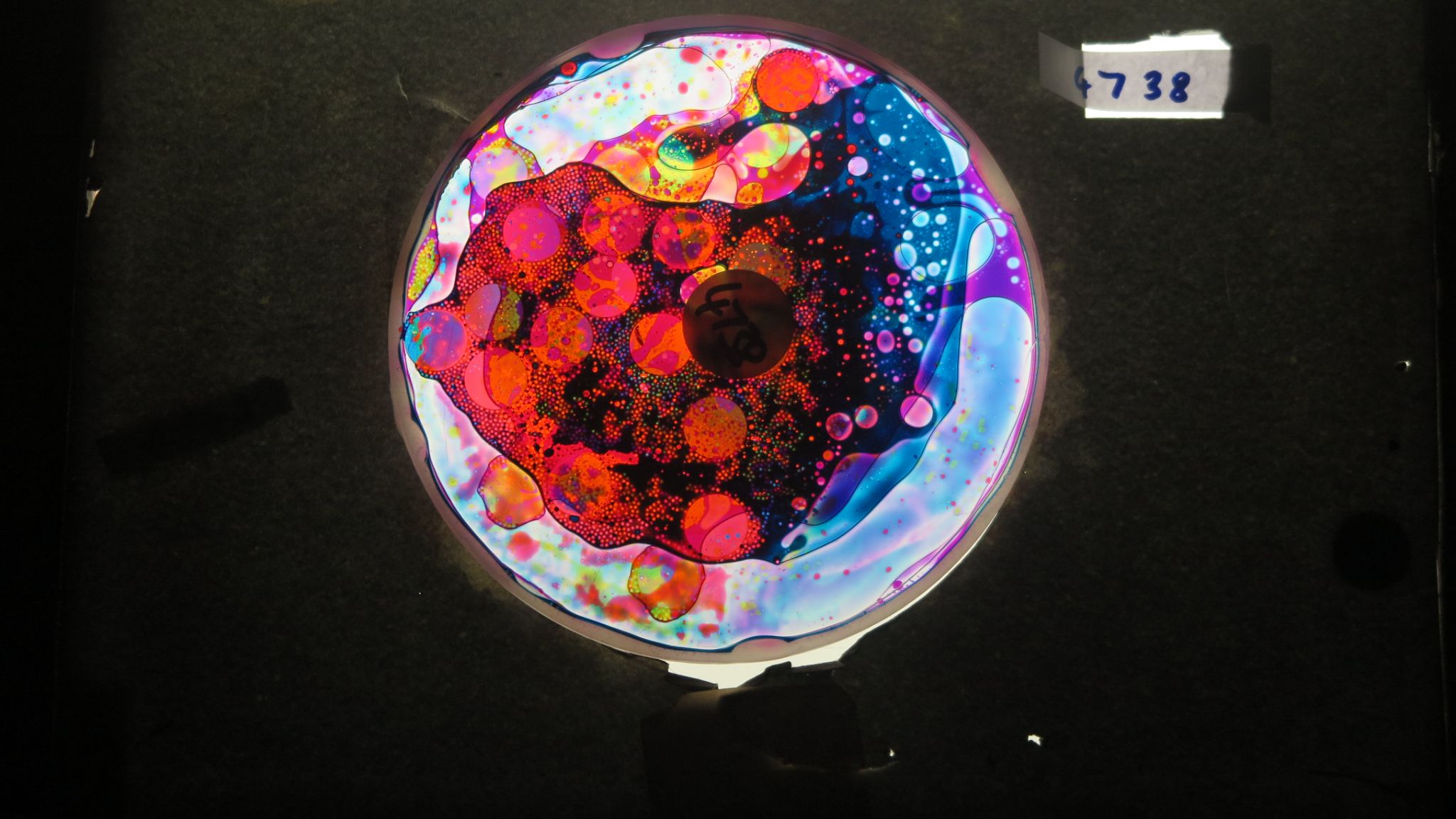 BV4738 bubble vision oil wheel